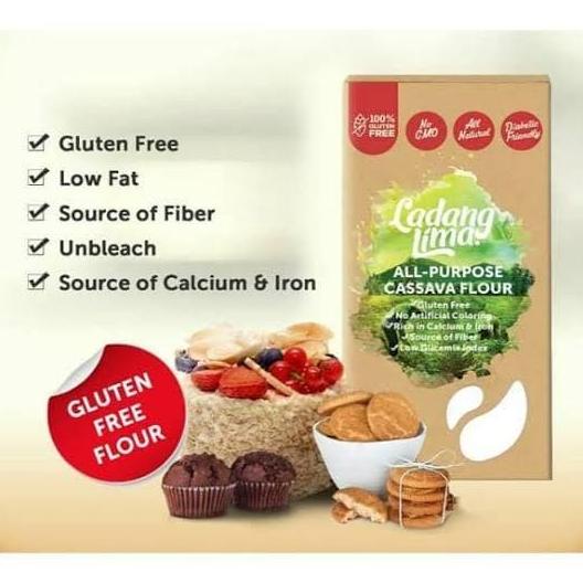 

Tepung MOCAF Gluten Free LADANG LIMA buat penderita GERD