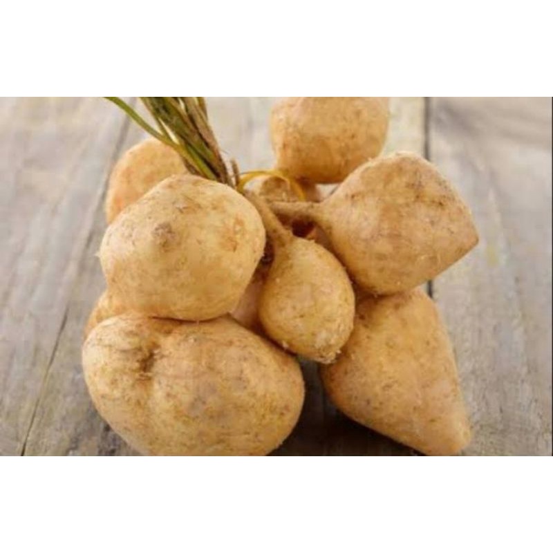 

Bangkwang (500gr)