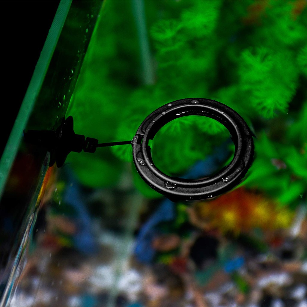 Ring Pemberi Makan Ikan Floating Feeding Ring Top Aqua ROUND 7.5 cm