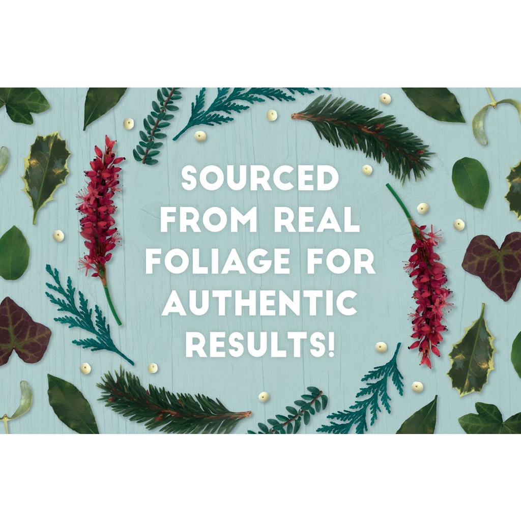 The Vector Florist Brushes Winter