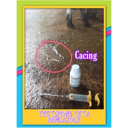 Obat Cacing Sapi Kambing Ampuh &amp; Terbukti I CETA BENDAZOL 125 30ml, 100ml, 1Liter - Obat Cacing Hewan Sapi Kambing Domba Babi Ayam