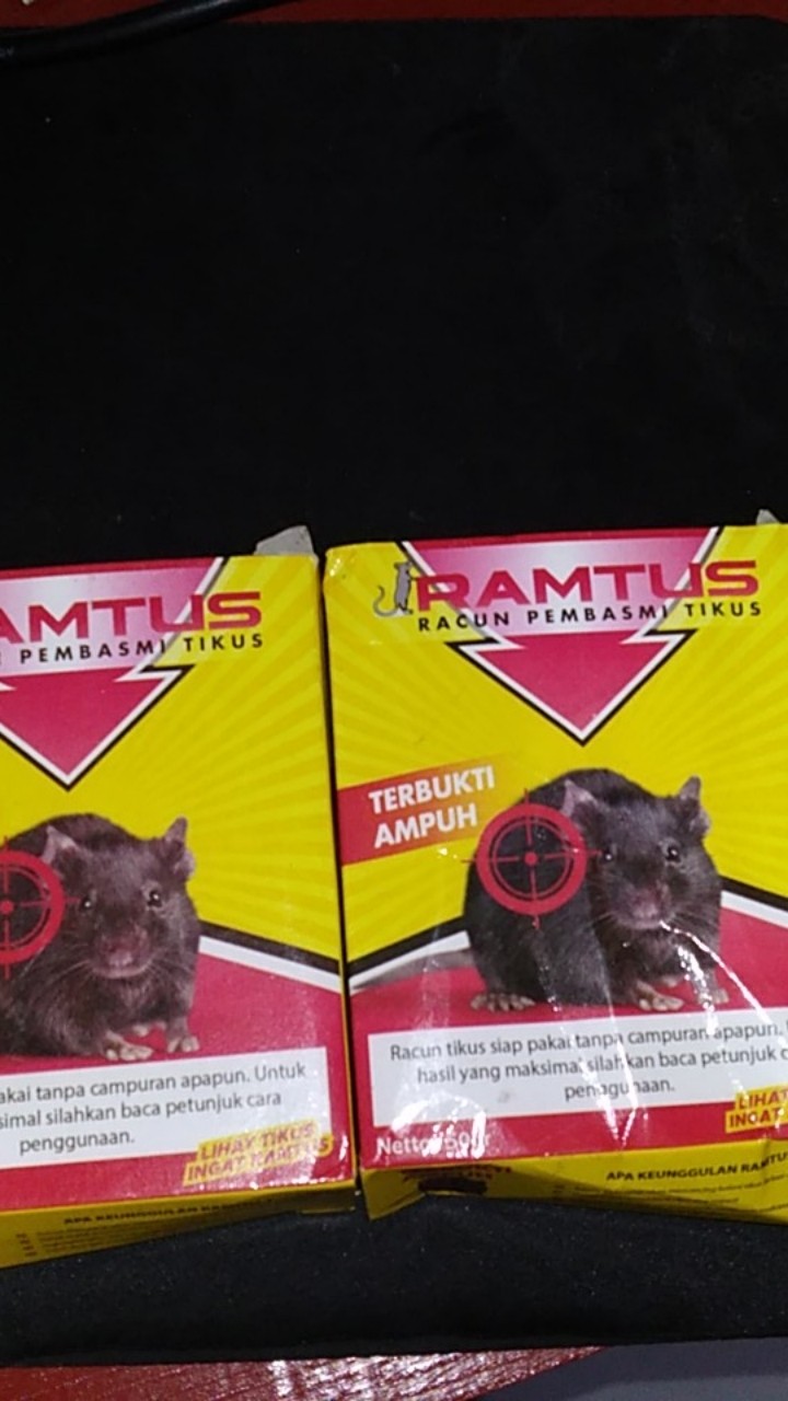 Ramtus Racun Tikus Ampuh Mati Kering Tidak Bau Pembasmi Curut Wirog Mencit Dirumah Di Mobil 2 Pack