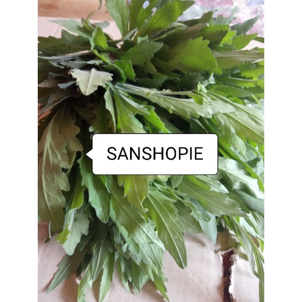 

Daun Jalantir Segar per 500 gram