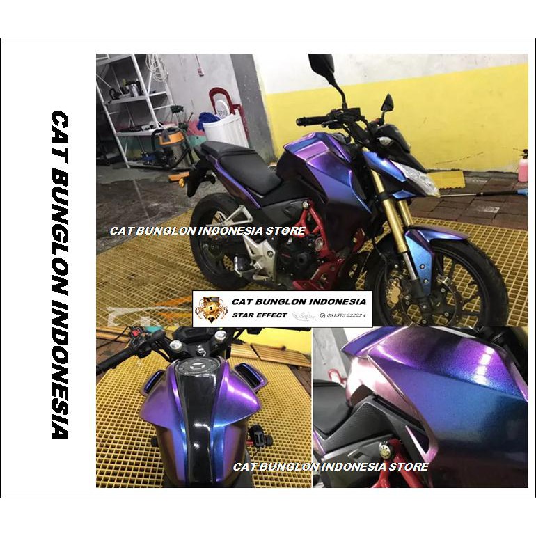 CAT BUNGLON NEWS 2021 BLUE ANGGEL