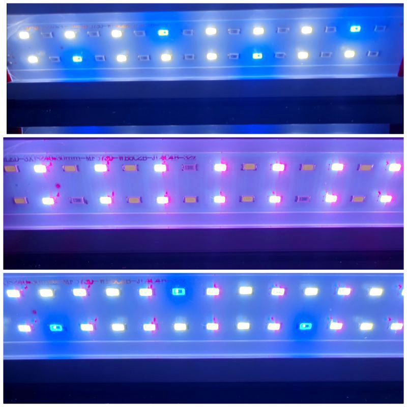 Lampu aquarium aquascape SAKKAI PRO P 100LED