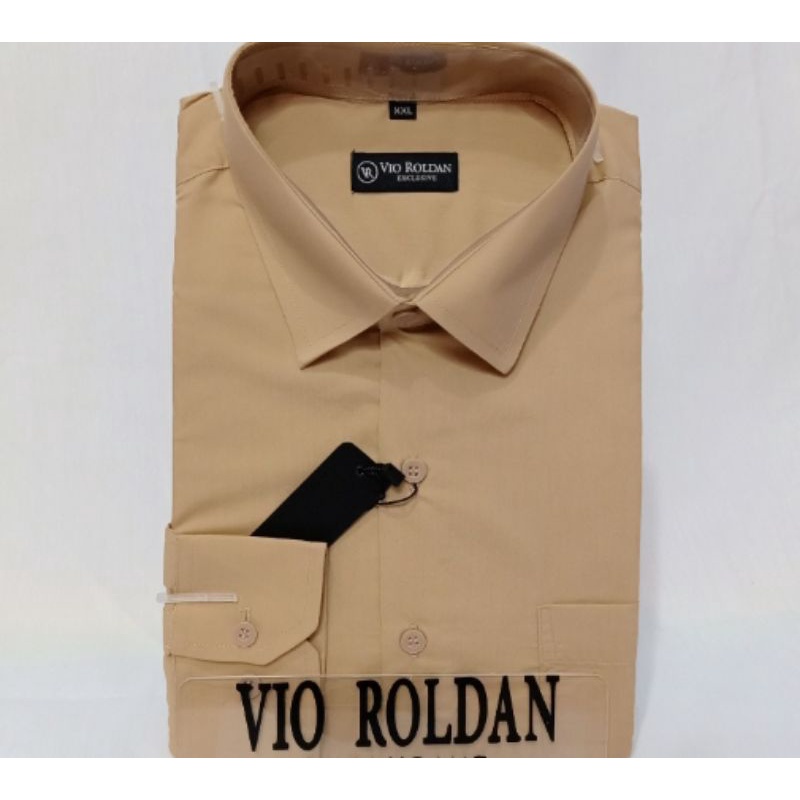 VIO ROLDAN Kemeja Polos Slim Fit Lengan Panjang Kemeja Katun Kemeja Formal Kemeja Pria