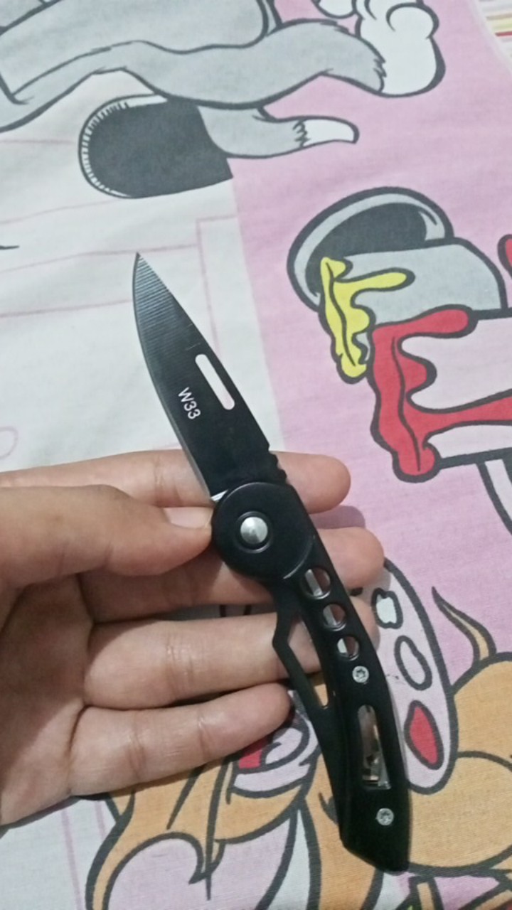 Pisau Lipat Mini Pisau Outdoor Pisau Camping Portable Pisau Dapur Pisau Survival Serbaguna W33