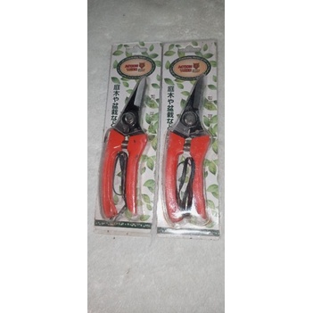 gunting tiger / gunting holo