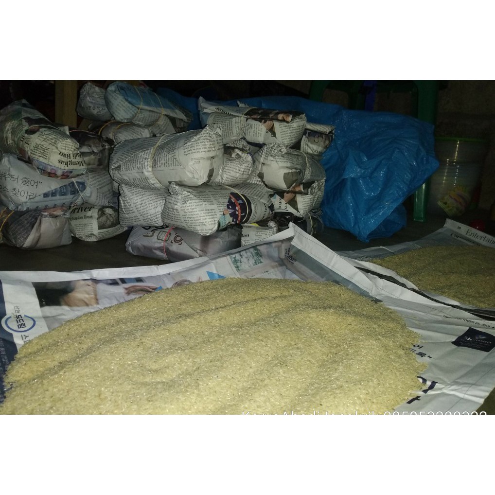 Telur jangkrik kalung murah bergaransi 500gr