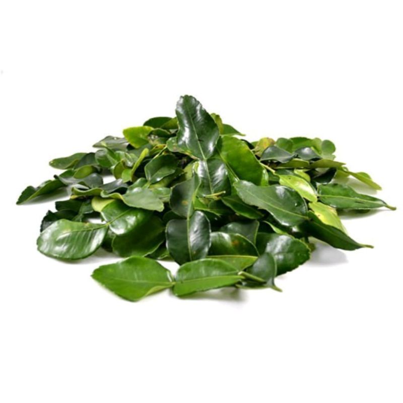 

Daun Jeruk