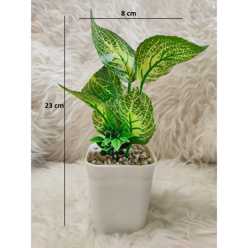 Tanaman Hias Plastik/ Bunga hias cantik/ Bunga hijau/ Bunga Anggrek