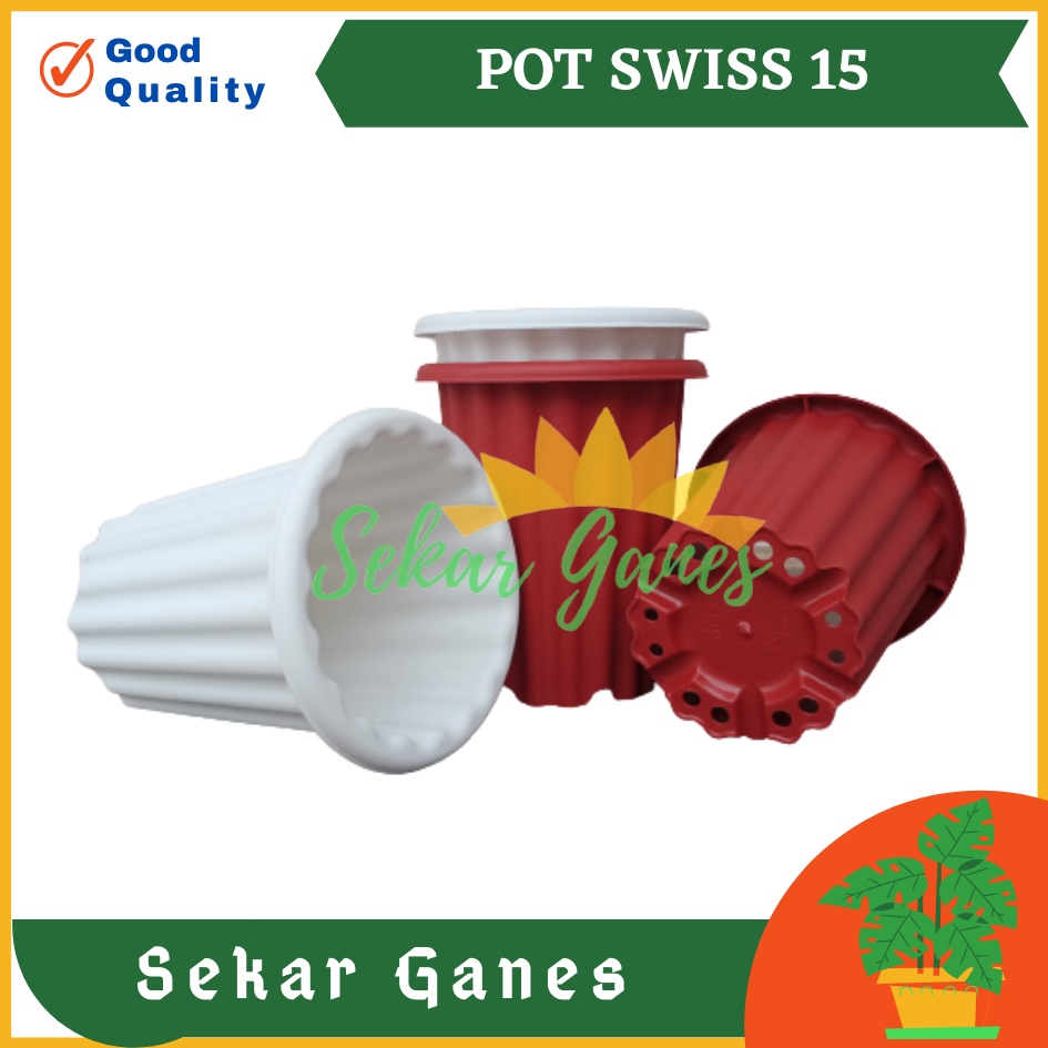 Sekarganes Pot Swiss 15 Merah BataTerracota Terracotta Merah Coklat Pot Yogap 10 13 15 Putih Coklat Merah Bata Bening Transparan Pot Yogap 17 18 19 Pot Yogap Murah Pot Bunga Tinggi Pirus Tegak Bagus Tebal