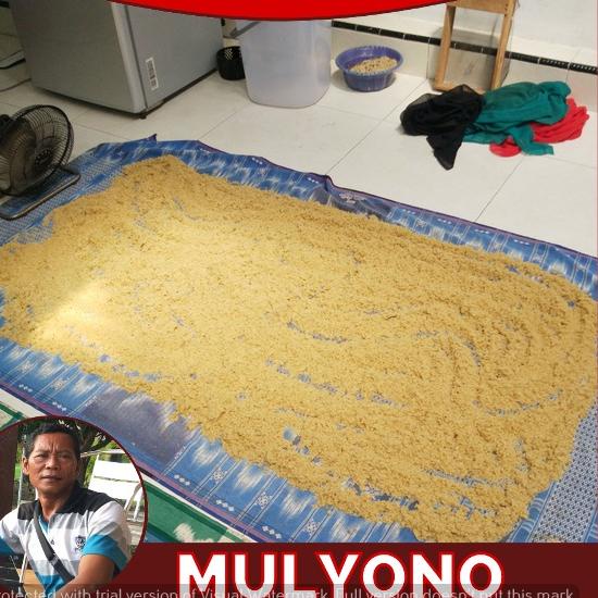 

[KODE GCP70] Telur Jangkrik Alam Madu Kualitas Super Netas 99%