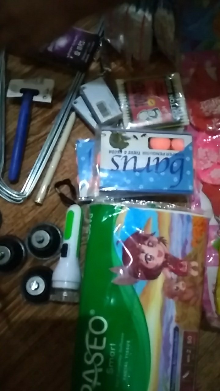 Naim_surya_asemka_kamper Tikus Dan Kecoa