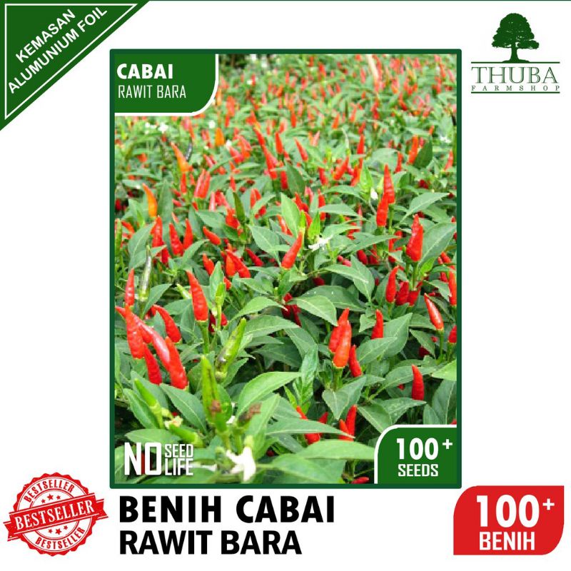 Benih Cabai Rawit BARA 100 biji - Bibit Cabe Rawit Hijau ke Merah Termurah