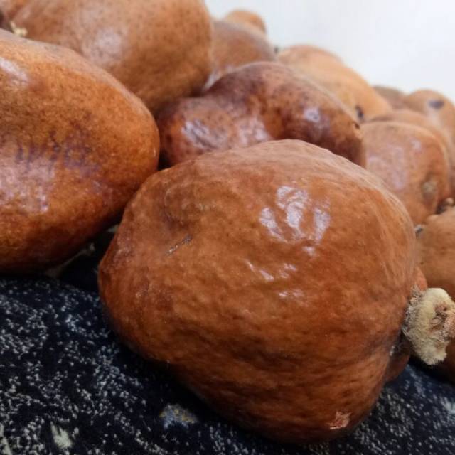 

Buah Zuriat Premium Sepasang