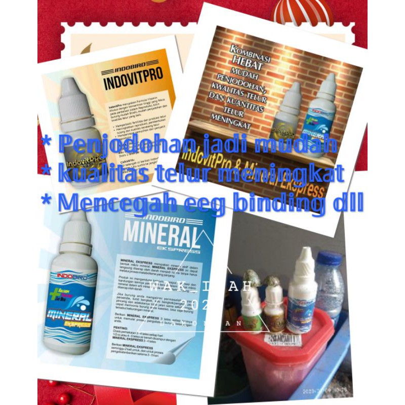 Vitamin Ternak Murai Indovitpro Dan Mineral Ekspress Shopee Indonesia