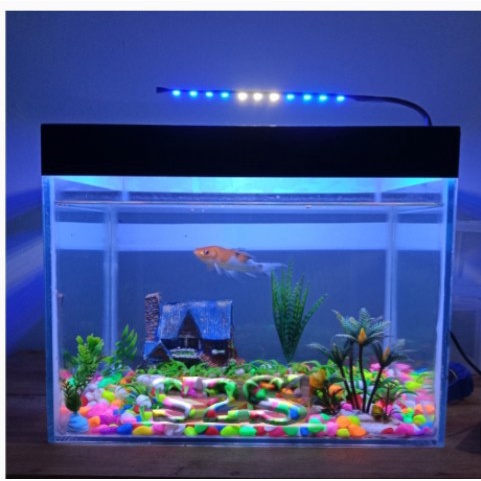 Lampu Aquarium mini  biru putih A 11 led Lampu Aqua scape 5 volt kabel usb lampu  soliter cupang lam