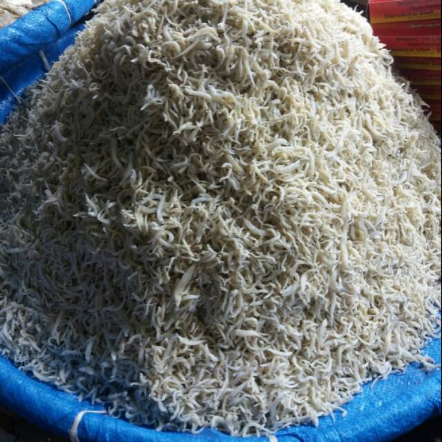 

Ikan teri nasi asin Medan