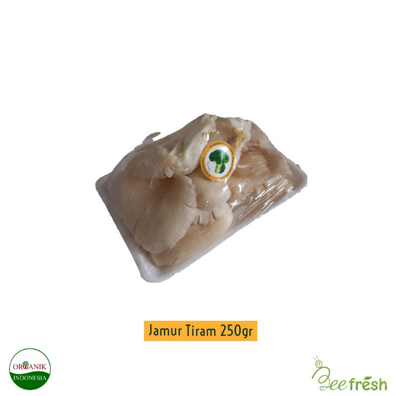

Jamur Tiram