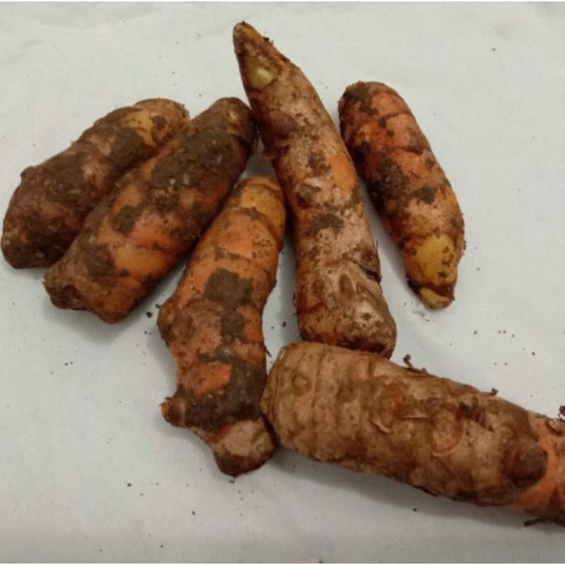

Kunyit/Kunir 100g