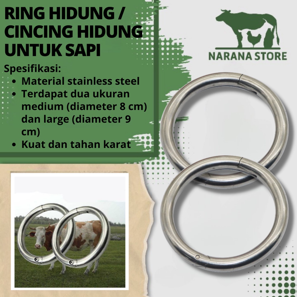 Ring Cincin Hidung Sapi Stainless Steel Bull Ring Sapi Kerbau Banteng