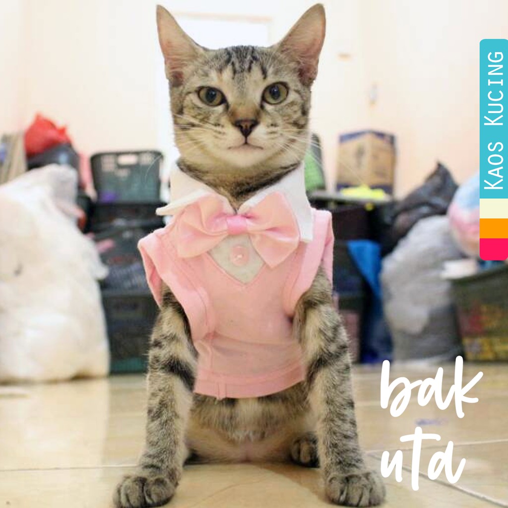 Kaos tuxedo imut untuk kucing &amp; anjing /Jual Baju Kucing Terlengkap &amp; Berkualitas size S-XL