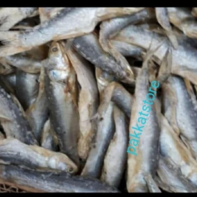 

Promo Awal tahun Ikan Asin Sinangin Medan/Ikan Asin Mentah Kering 500 gram Promo Awal tahun