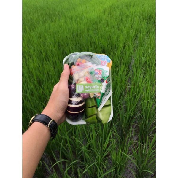 

SayurIn Paket Sayur Lodeh