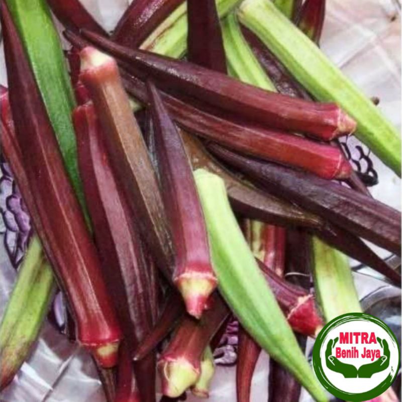 10 Biji Benih Okra Mix Colour F1 / Benih Okra / Bibit okra / Biji Okra / Benih Sayuran / Bibit Sayur