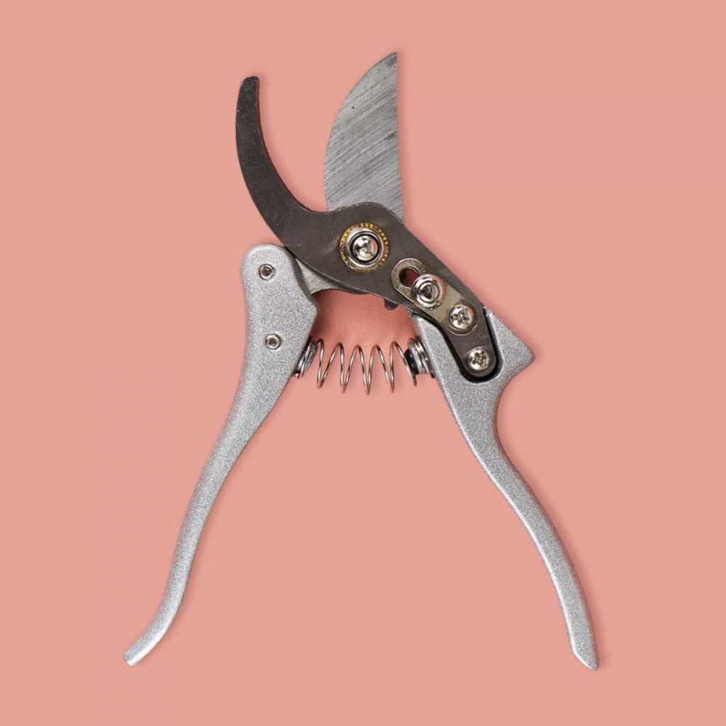 Gunting Taman Dahan Ranting Stek Bonsai Pruning Shear Scissors - GS