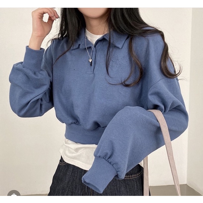 LILY ZIPPER CROP SWEATER WANITA KOREAN