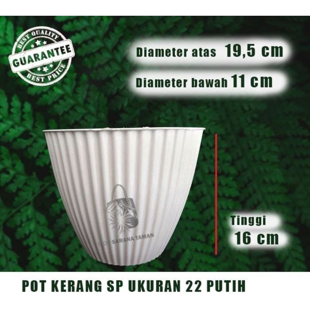 POT KERANG SP 22 PUTIH Pot Tanaman Pot Bunga Pot Motif Pot Unik Pot Plastik  Grosir Pot
