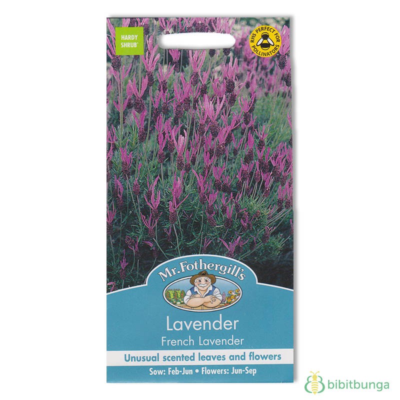 Benih Mr Fothergills Lavender French - 35 biji