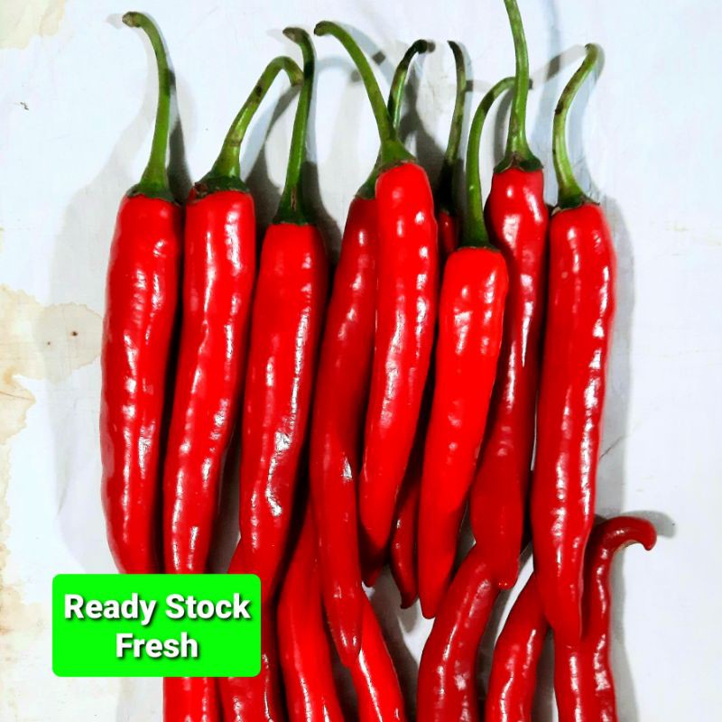 

cabe merah besar 500g