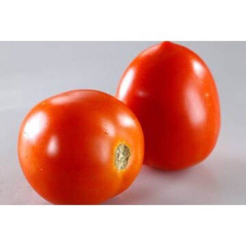 

Tomat Merah Segar 1 Kg