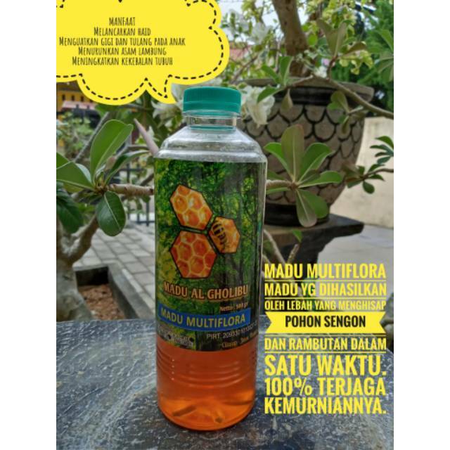 

MADU MULTIFLORA AL GHOLIBU kemasan 500 gram