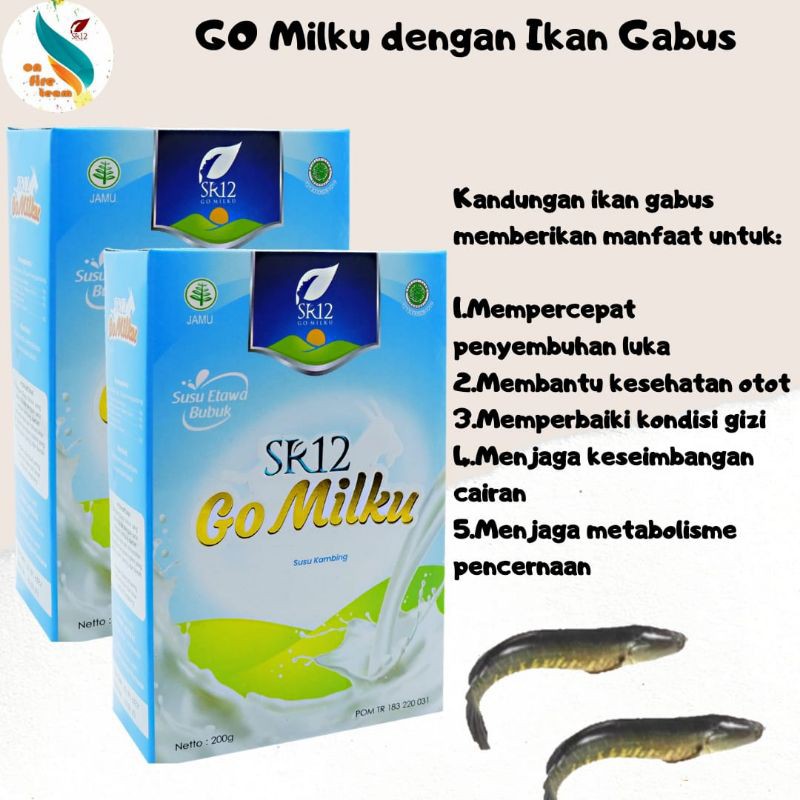 

SUSU KAMBING ETAWA / SR12 GO MILKU / SUSU KAMBING TIDAK BAU