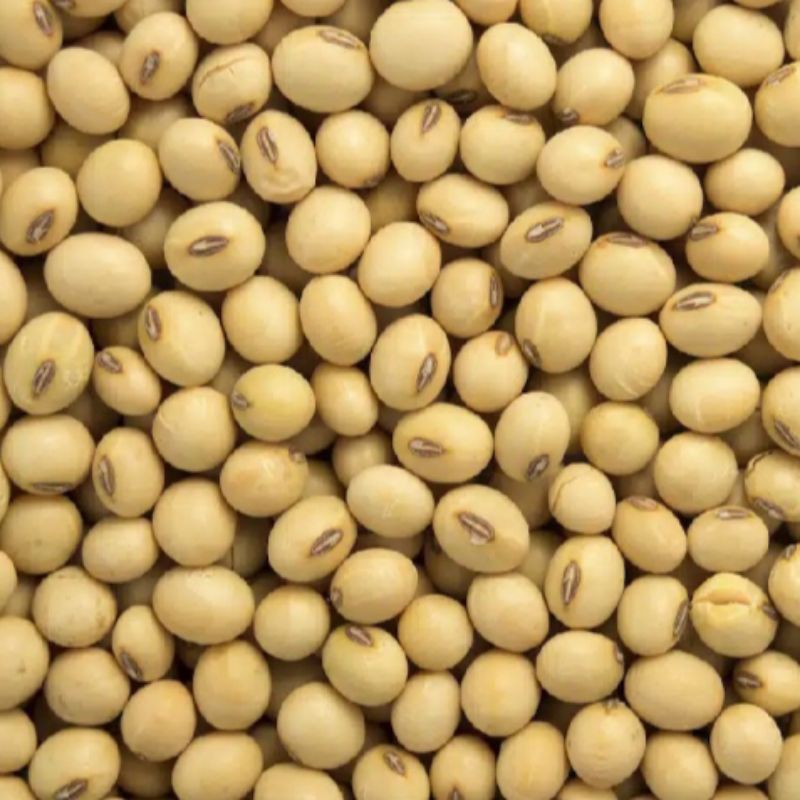 

Kacang Kedelai Kedele 500 gr