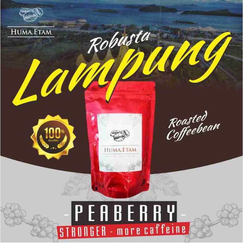 

Robusta JANTAN LAMPUNG