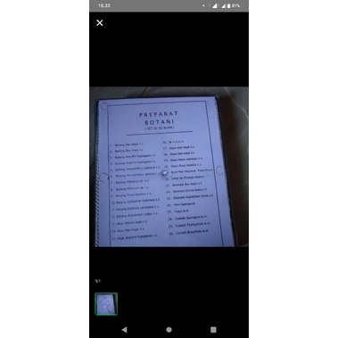 PREPARAT ANATOMI TUMBUHAN BOTANI PENDIDIKAN BIOLOGI PREPARATE