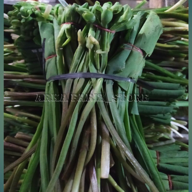 

Sayur Genjer Bunga campur Daun (Baby)/Satu Ikat isi (10)