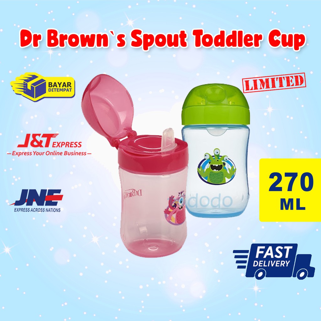 Botol Minum Spout Cup Bayi Anak Dr Brown`s Spout Toddler Cup TC91001