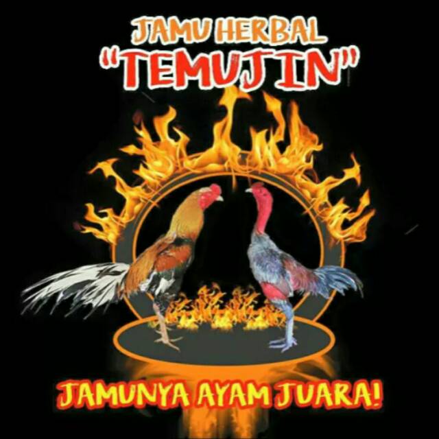 

Jamu Ayam Aduan TEMUJIN