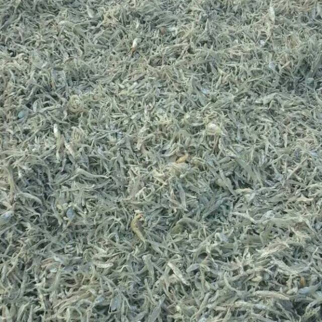 

Ikan asin seruwet