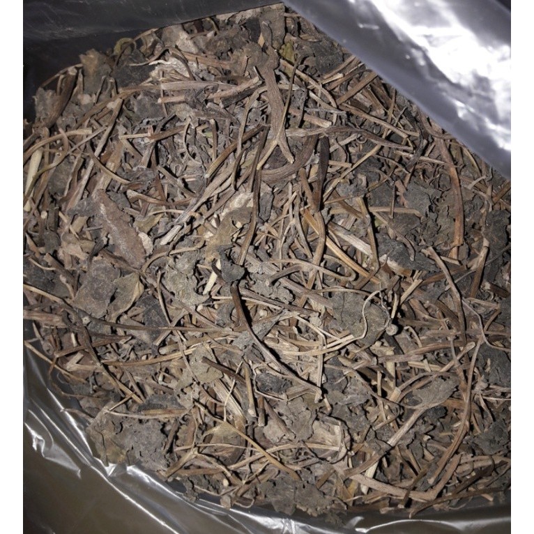 

Daun Binahong Kering 1/2 kg Herbal Alami
