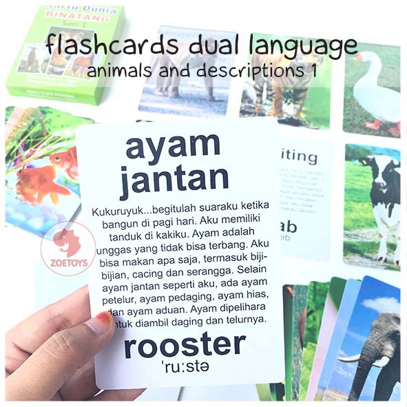 Zoetoys Flashcards Dual Language | Flashcard Kartu Pintar Balita Termurah Animal Body Parts Alphabet | Mainan Edukasi Anak