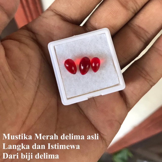 Batu Mustika Merah delima Asli Fosil Biji Delima