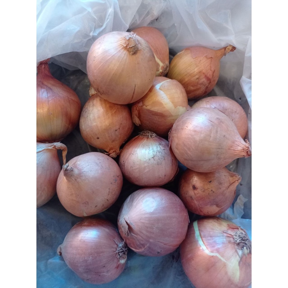 Bawang Bombay