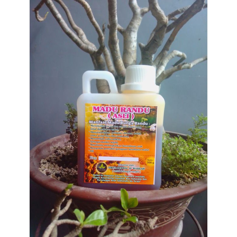 

Madu Randu 500 gr